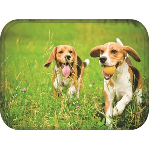 40x60cm Cute Diy Print Floor Mat Bathroom Ground Mat Slip Door Bath Pad Rug Living Room Carpet kawaii cartoon animal dog