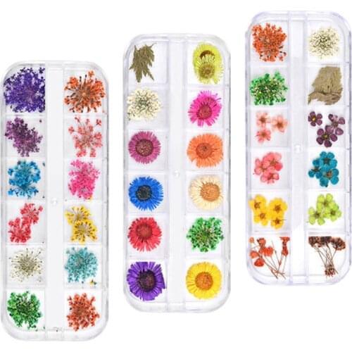 New 3pcs/lot 3D Dry Flowers Leaf Nail Art Stickers Natural Gypsophila Floral Nail Decoration UV Gel Polish Nail Accessories Tips