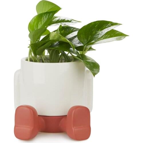 Balvi Pots
