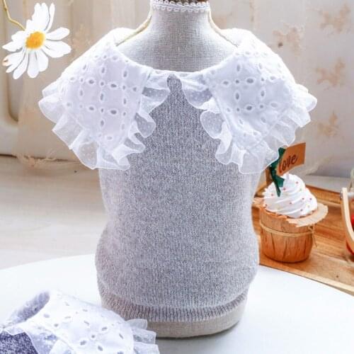 Pet Dog Sweater Cute Vintage Big Lace Collar Cotton Soft Pullover for Small Medium Teddy Poodle Chihuahua Sweatshirt