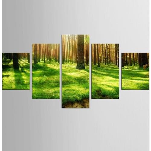 5 pieces of canvas art forest landscape painting custom canvas printed on the printing wall picture home decoration FJJX-344