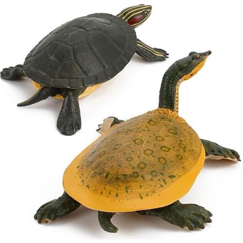 Animal Simulation Tortoise Desktop Ornament Kid Present Educational Model Doll