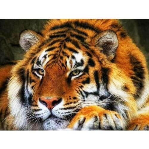 5D DIY Diamond Painting Tiger Cross Stitch Diamond Painting Mosaic Diamond Embroidery Decoration Home Patterns Rhinesto