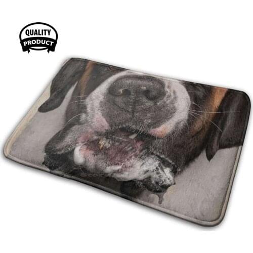 Bentley Soft House Family Anti-Slip Mat Rug Carpet Belinda Richards St Bernard Dog Funny Dog Hilarious Dog Dog Drool Pet