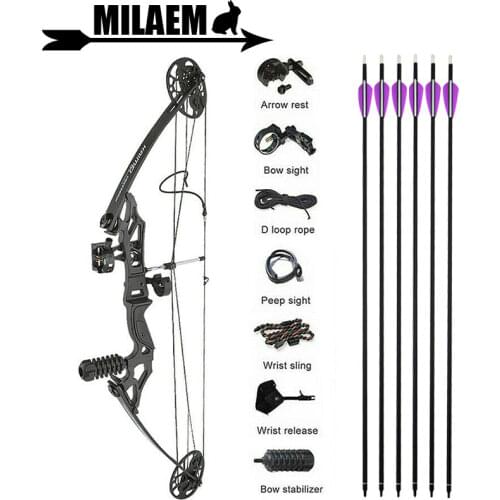 Archery Compound Bow Arrows Set 35-50lbs Adjustable Hunting Bow Carbon Arrows Shooting Accessories