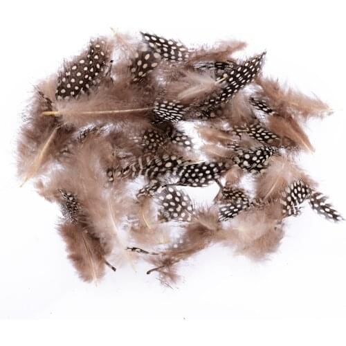 Natural Spotted Guinea Fowl Feather 4.5-10cm DIY Clothing Sewing Ribbon Decorative Feather for Crafts Earrings Decorations