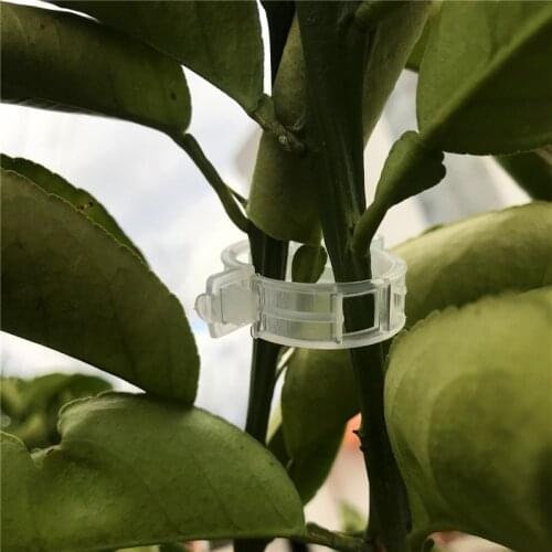 4@# 50/100 Pcs Reusable Plastic Plant Support Clips Clamps for Plants Hanging Vine Garden Greenhouse Vegetables Tomatoes Clips