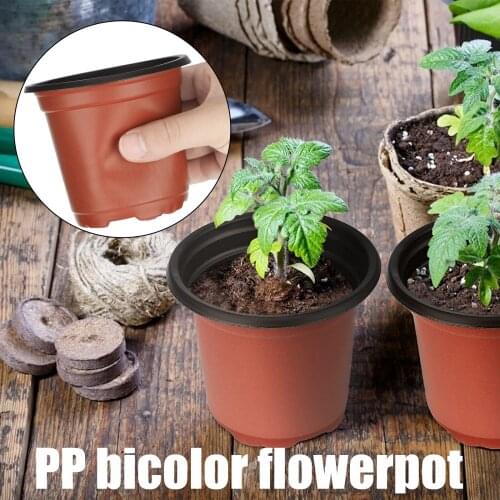 Flower Invitation Plant Pots