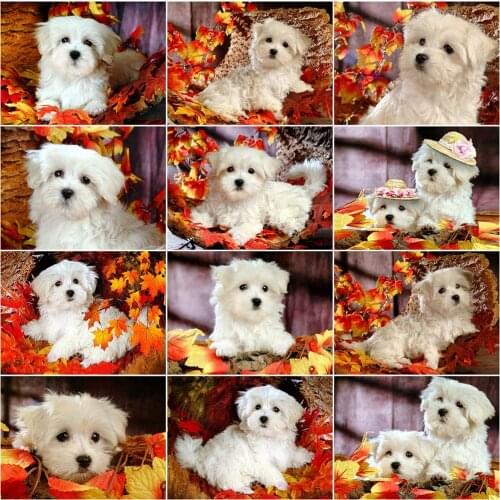 Evershine Diamond Painting Dog Cross Stitch Full Square Round Diamond Embroidery Sale Animal Rhinestones Pictures Crafts Kit