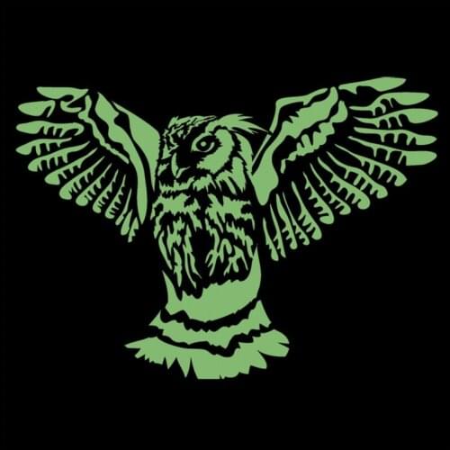 Owl Bird Patches for Clothing Luminous Badge Heat transfer printing Noctilucent Patch Clothes DIY Fluorescence Stickers Gifts