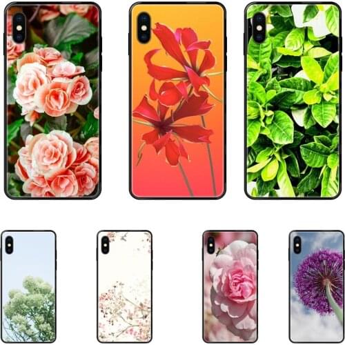 Plant Flowers Green Bunny Ears Cactus For Huawei Honor Mate Play V10 View 10 20 20X 30 Lite Pro Y3 Y5 Y9 Nova 3 3i Pro Luxury