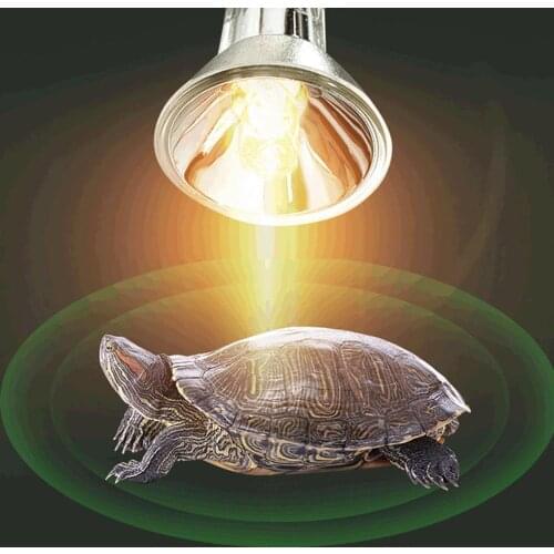 HobbyLane Reptile Products