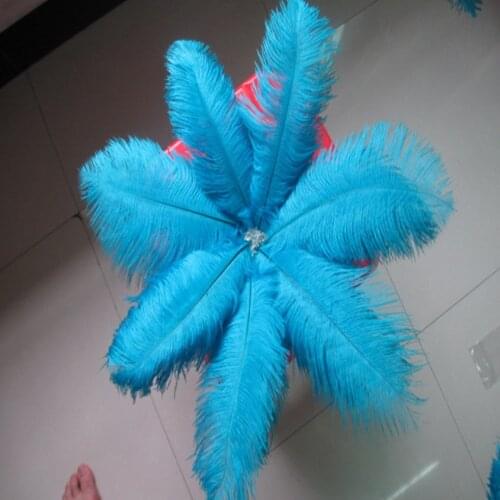 Wholesale! 500 PCS/a lot of beautiful sky blue ostrich feathers 20-25 cm / 8-10 inches wedding celebration decoration
