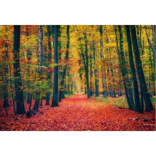 Autumn Green Tree Landscape Backdrop Holiday Photography Background Celebration Photo Booth Studio Decor