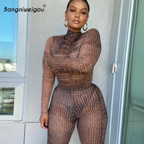 Bangniweigou Sexy Printed Mesh Bodysuit Leggings Two Piece Set Snakeskin See-through Long Sleeve Top+pants Club Outfits Fall