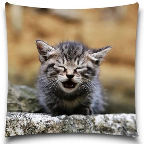 Small milk cats Throw Pillows Case Pillow Covers Vintage Home Decorative