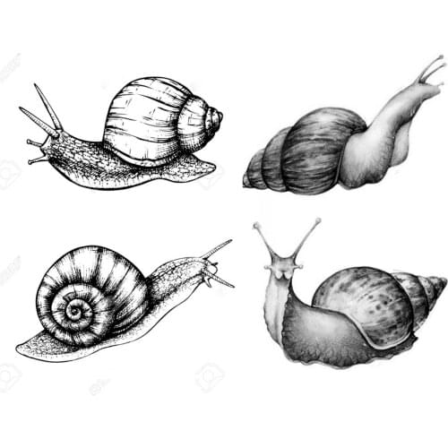 Snails Transparent Silicone Rubber Stamp and Metal Die Sheet Cling Scrapbooking DIY Cute Pattern Photo Album