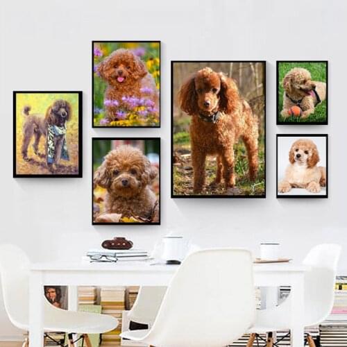 Full square Round Diamond embroidery poodle diy diamond Painting Cross Stitch Rhinestone Mosaic home decor dog stickerZP-3280