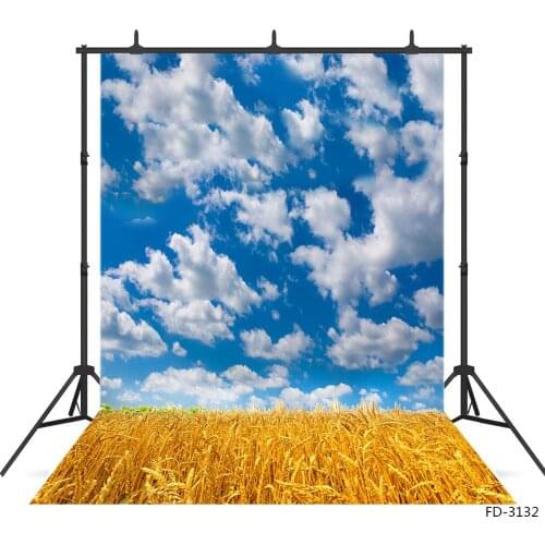 Blue Sky White Cloud Wheat Photographic Background Computer Printed Backdrop Photo Studio for Children Baby Portrait Photoshoot