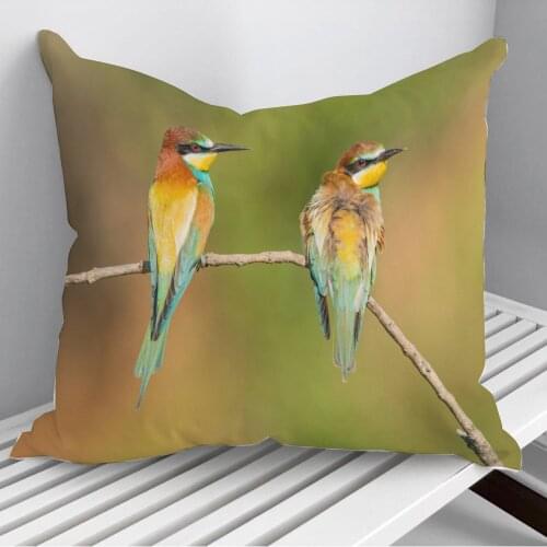 Bird Throw Pillows Cushion Cover On Sofa Home Decor 45*45cm 40*40cm Gift Pillowcase Cojines Dropshipping