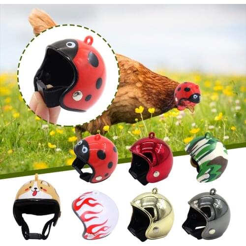 Chicken Helmet Small Pet Hard Hat Bird Duck Quail Hat Headgear Pet Chicken Helmet Birds Head Helmet Pet Supplies