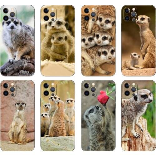 Black tpu case for iphone 5 5s se 2020 6 6s 7 8 plus x 10 XR XS 11 12 mini pro MAX back cover animal mob of meerkats