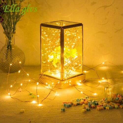 2M 5M10M 20/50/100 LED Copper Wire 3XAA Battery LED String Lights For Home Party Wedding Christmas Flasher Decoration Lamp