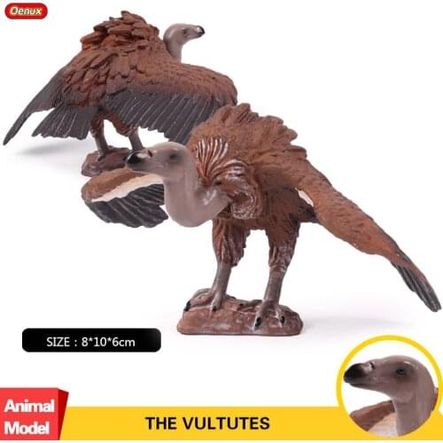 Oenux Raptor Cinereous Vulture Figurines Bird Animal Action Figure Owl Vulture Collection Model Educational Toy For Kids
