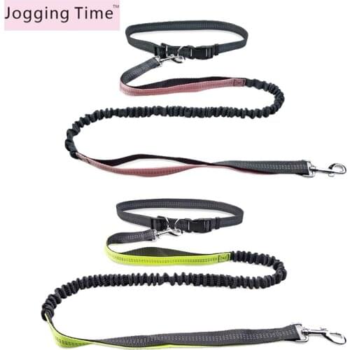 Jogging Time Animal Decorations