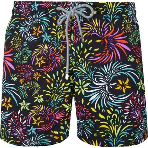 Vilebre MEN SWIMWEAR HERRINGBONES TURTLES Newest Summer Casual Shorts Men Fashion Style Mens Shorts bermuda beach Shorts quin561