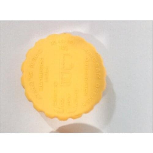 Cap of EXPANSION TANK 90467473,1304661,90467472,90409256,1304666,1304667 FOR OPEL