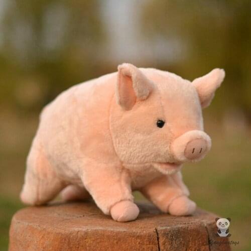 Kawaii pig Stuffed animals toys for girlfriend present soft Wild boar plush toy shops