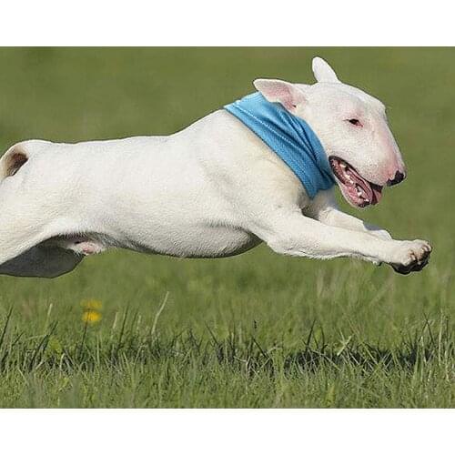 Dog Cooling Scarf Soft Breathable Bandana Durable Pet Supplies for Summer