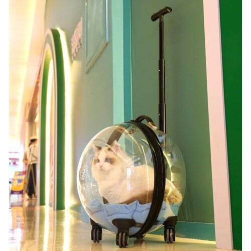 TT Cat Bag Trolley Case Pet Outing Carry Bag Large Capacity Suitcase Dog Luggage