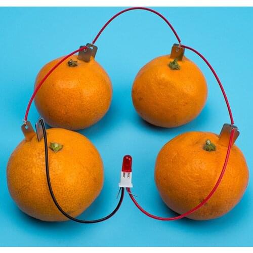 Potato Fruit Supply Electricity Experiments Kids Children Student Learining ChemistryTeaching Tool Bio Energy Science Kit