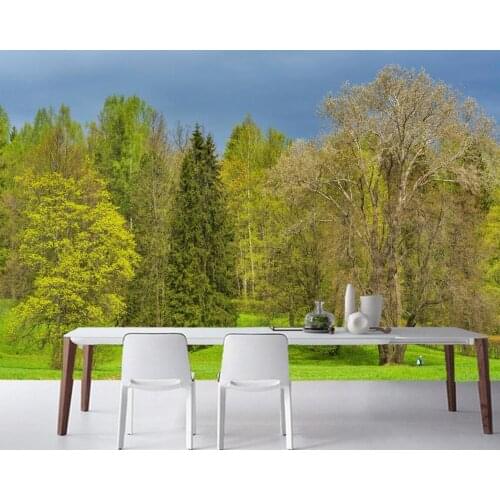 Parks Spring Trees Grass Nature photo wallpaper papel de parede,living room kitchen cafe bar wall paper home decor papel mural