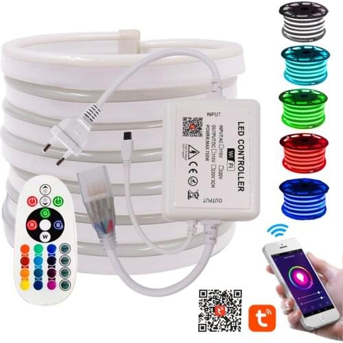 RGB Neon Strip Light Wifi Control 5050 Flexible LED Tape + 24Key Remote Waterproof Neon Sign Rope Light 110V 220V EU US AU UK