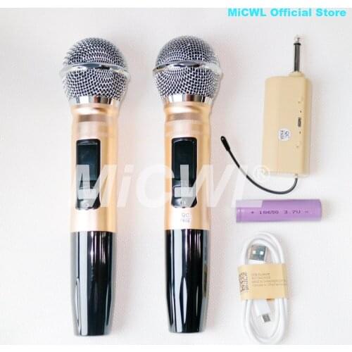 Portable Wireless 2 Handheld 2 Lavalier Karaoke Microphone System Rechargeable Radio Dual Channel Mics MiCWL TR2