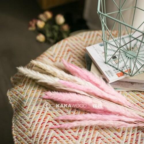 Kakawood Flower Club Northern European-Style Home Soft Accessories Art Flower Arrangement Pink Ins Flamingo Color Small Reed