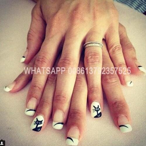 3 years warranty nail and flower printer with touch screen 5nails printing machine