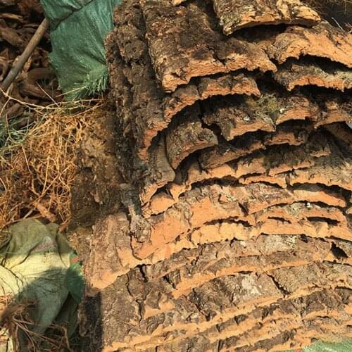 Tree bark Climber Reptile Lizard bark Cork Christmas elm champagne Pet Decoration Drift Wood Fish Tank Driftwood Natural Tree