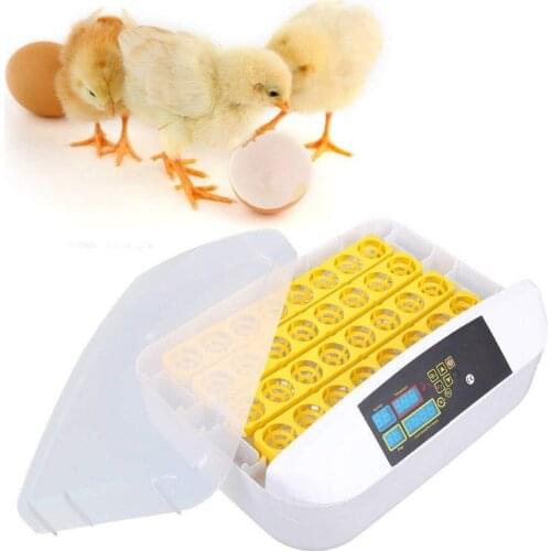 New Automatic Egg Incubator LED 32 Eggs Incubators Hatching Eggs Chicken Hatcher