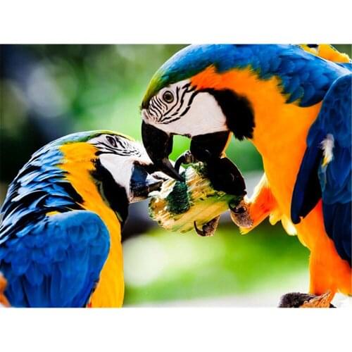Parrot Bird Animal DIY Embroidery 11CT Cross Stitch Kits Craft Needlework Set Cotton Thread Printed Canvas Home Room