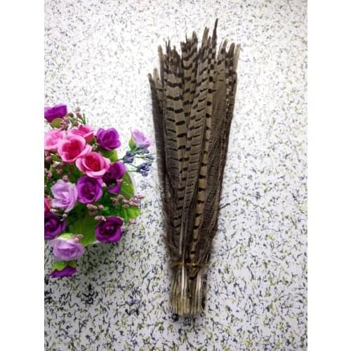Wholesale perfect 100pcs high quality natural Male Pheasant feathers 14-16inch/35-40cm Decorative diy natural colors