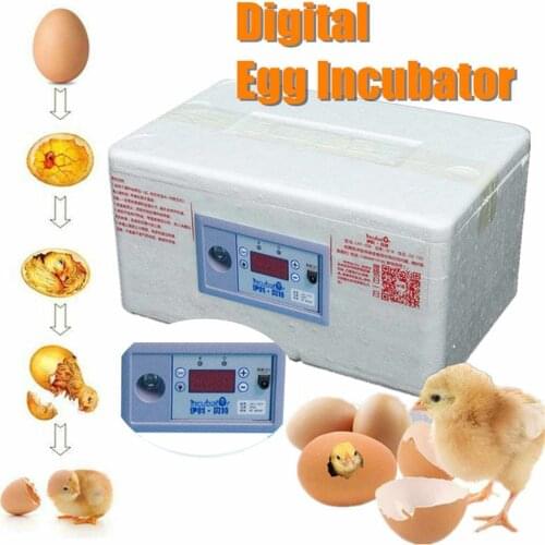 Eggs Incubator 12V Automatic Digital Temperature Incubator Chicken Poultry Hatcher Foam Waterbed Incubator Farm Incubation Tools