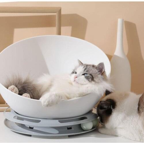 Cats Semicircular Fossa PP Gray Chair Single-layer Turntable Fossa