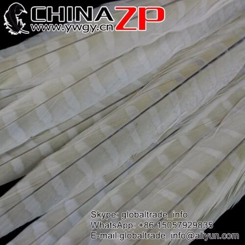 Made in CHINAZP Factory 100pcs/lot 12inch ~14inch (30-35cm) Bleached white Ringneck Pheasant Tail Feathers