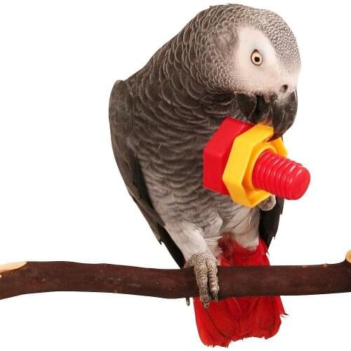 Large plastic toy bird Screw toy Parrot bite toy
