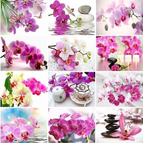 SHAYI DIY 5D Diamond Painting Phalaenopsis Flower Mosaic Embroidery Cross Stitch Full Square/Round Drill Home Decoration