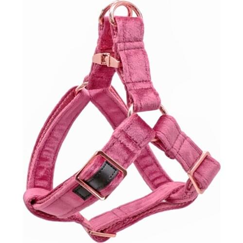 Hot Pink Velvet Dog Harness Basic Dog Leash Adjustable Buckle Cotton Fabric for Dog or Cat